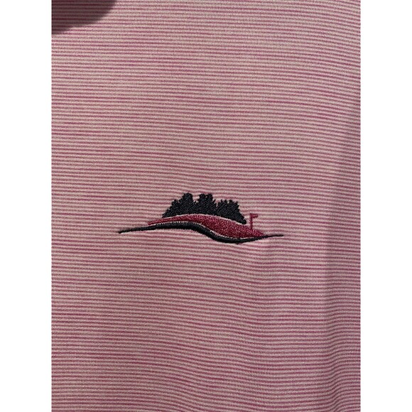 FootJoy FJ Golf Polo Mens Large Pink Short Sleeve Striped Shirt Golf Course Logo - Picture 4 of 6